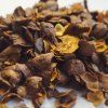 cascara z costariky