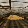 suseni zrn kavy tumbaga african beds