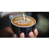Sage BES875BSS  THE BARISTA EXPRESS™