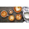 Sage BES875BSS  THE BARISTA EXPRESS™