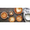 Sage BES875BKR  THE BARISTA EXPRESS™