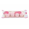 snack z ceskych jablek bioprodukta s jahodovou polevou