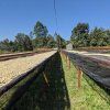 Balení kávy Keňa Kiambu Peaberry s vyznačeným původem na mapě Afriky