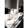 New Classic Gaggia1638